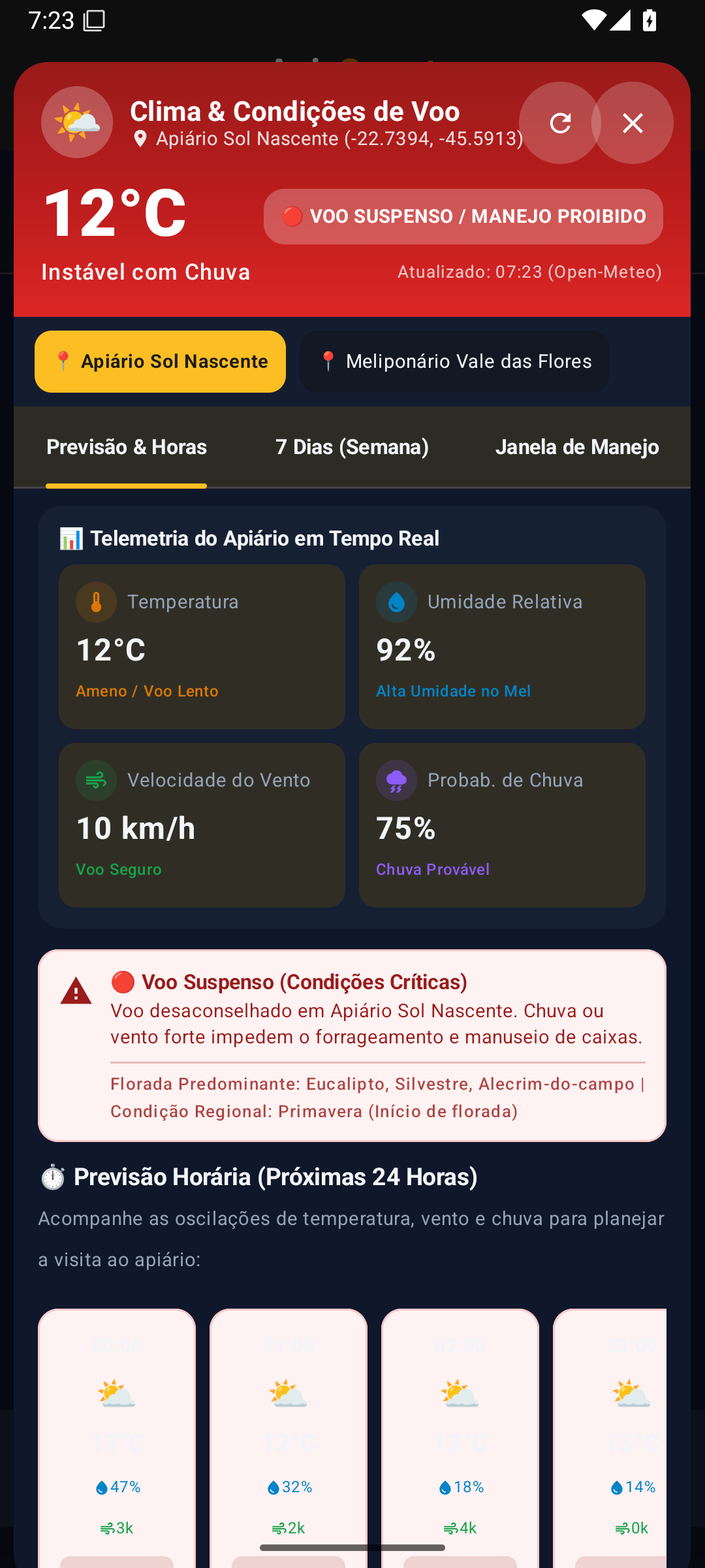 Previsão Horária e Condições Críticas